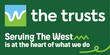 The Trusts The Trusts